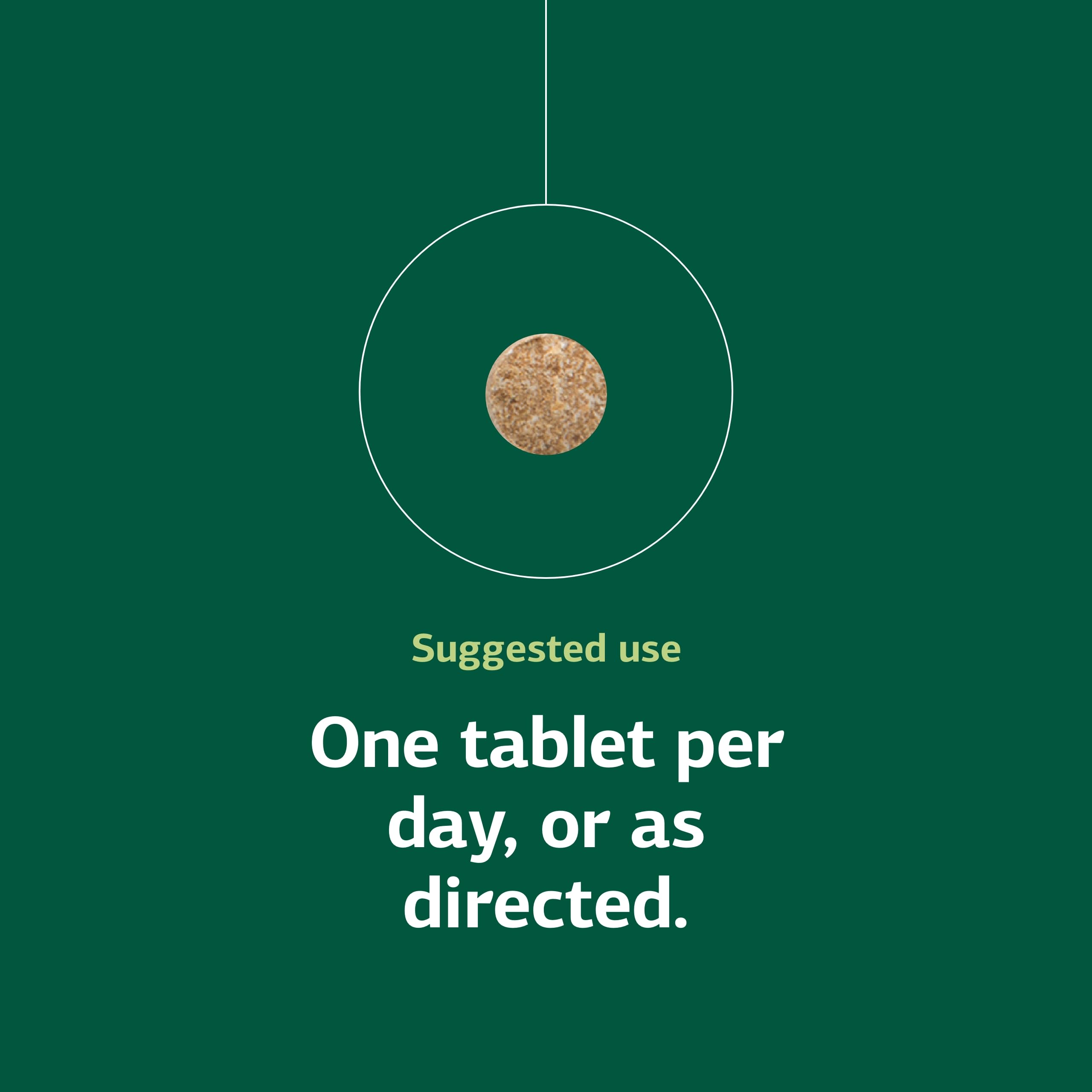 Standard Process Folic Acid B12-180 tablets arranged neatly for routine supplementation.