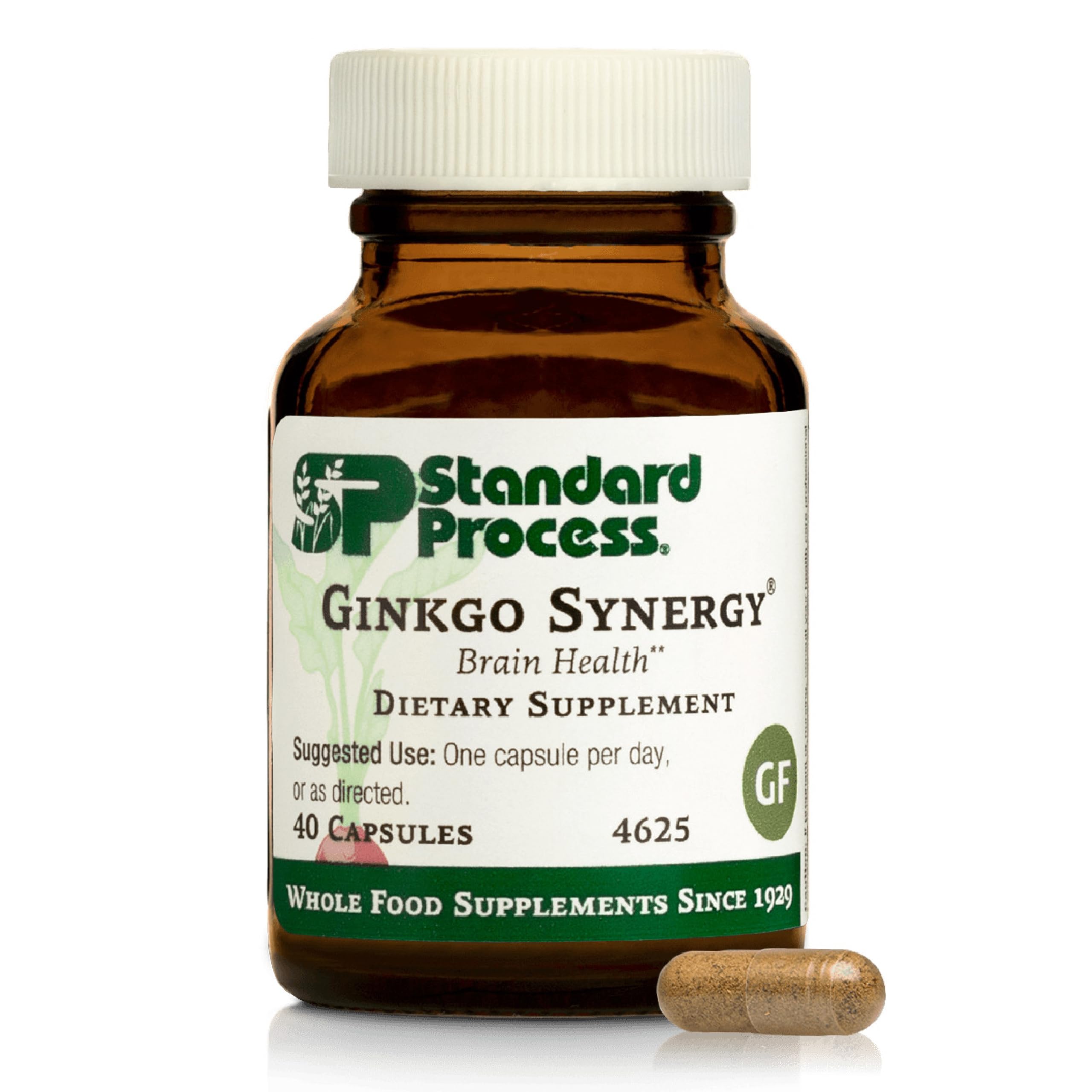 Standard Process Ginkgo Synergy bottle front showing brain health focus