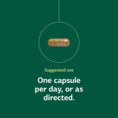 Gotu kola highlight in the formula for cognitive wellness