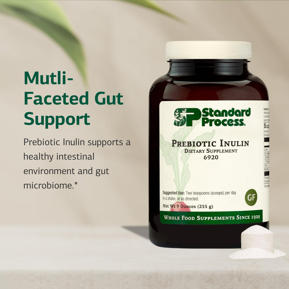 Standard Process Inulin ingredients label shows clean, plant-based prebiotic option
