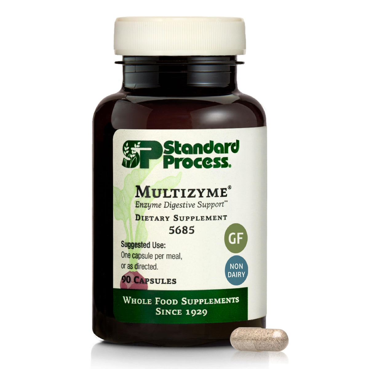Standard Process Multizyme bottle front featuring compact capsules for daily digestive support.