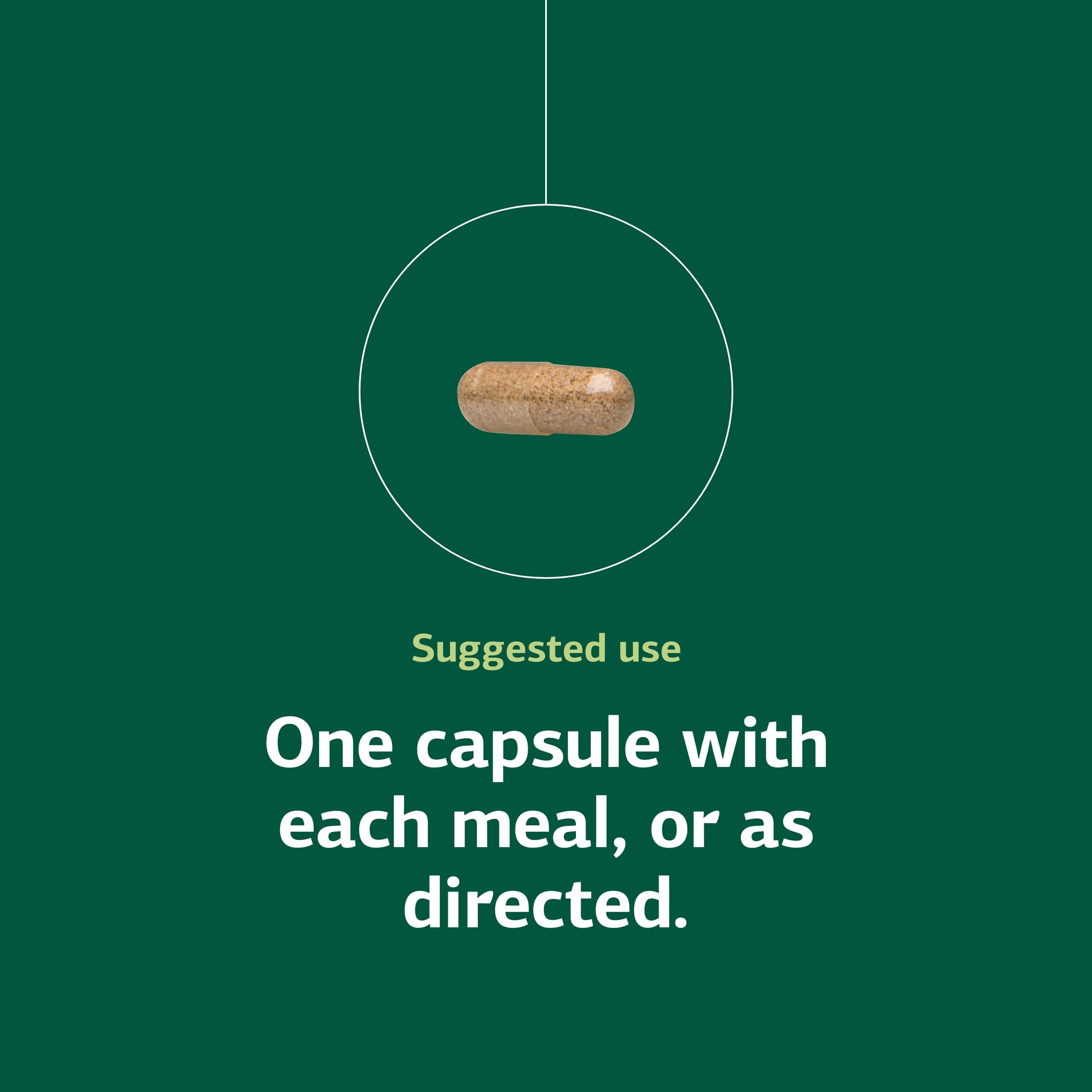 Standard Process Multizyme gluten-free label signals dietary compatibility.