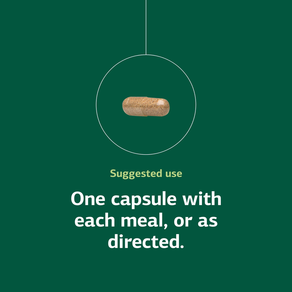 Standard Process Multizyme gluten-free label signals dietary compatibility.