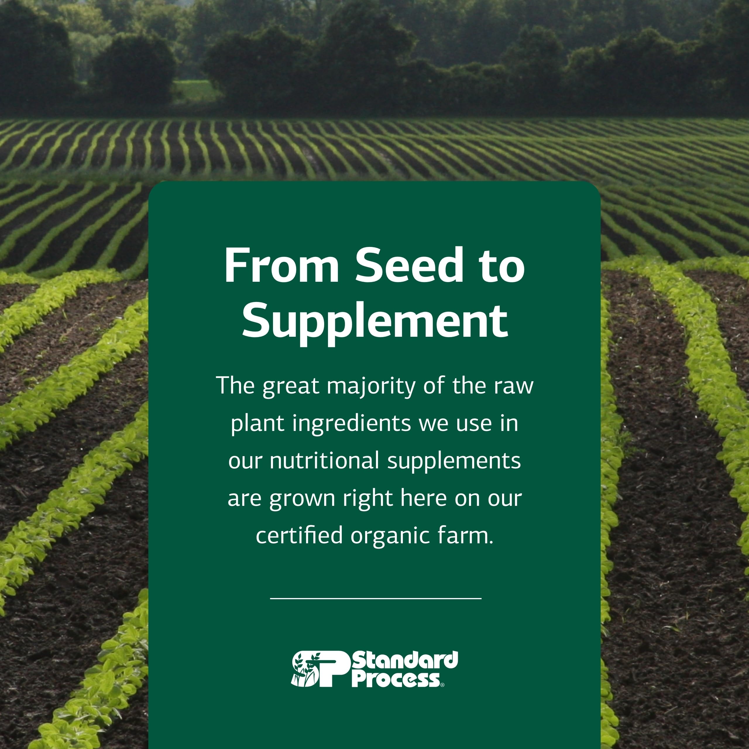 Standard Process Multizyme non-soy label supports versatile digestion choices.