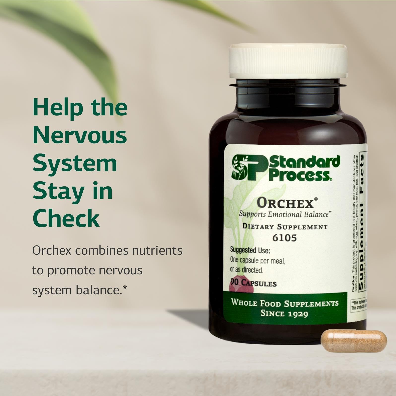 Orchex ingredients niacin and B6 emphasized for nervous system support