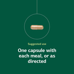 Orchex demonstrates whole-food-based nutrition for everyday wellness
