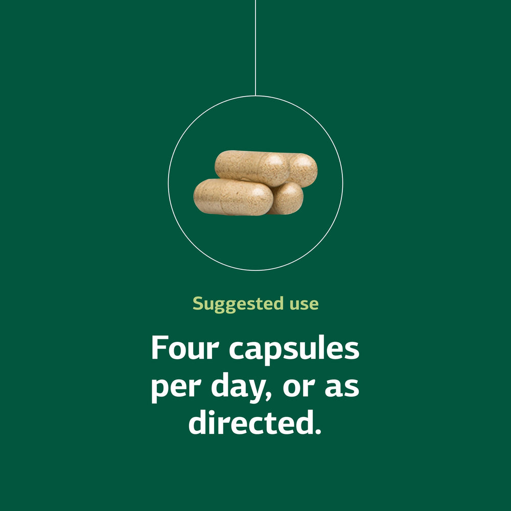 Individual taking Protefood as part of a daily wellness routine