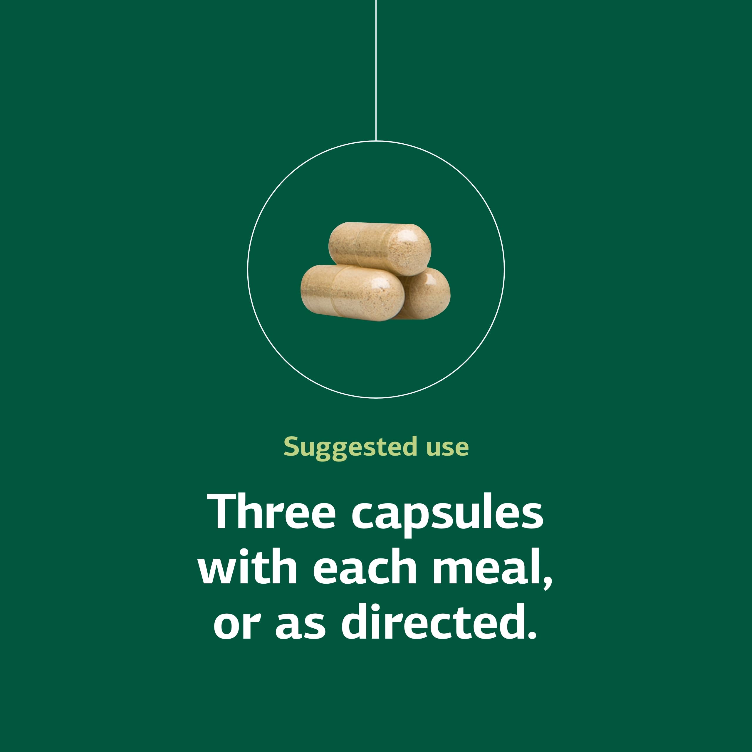 Standard Process Rumaplex bottle with meals signals non-dairy compatibility.