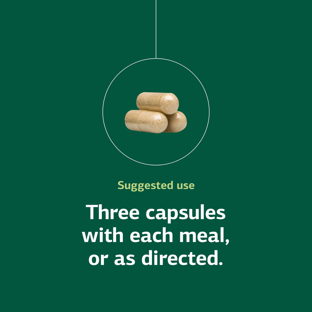 Standard Process Rumaplex bottle with meals signals non-dairy compatibility.