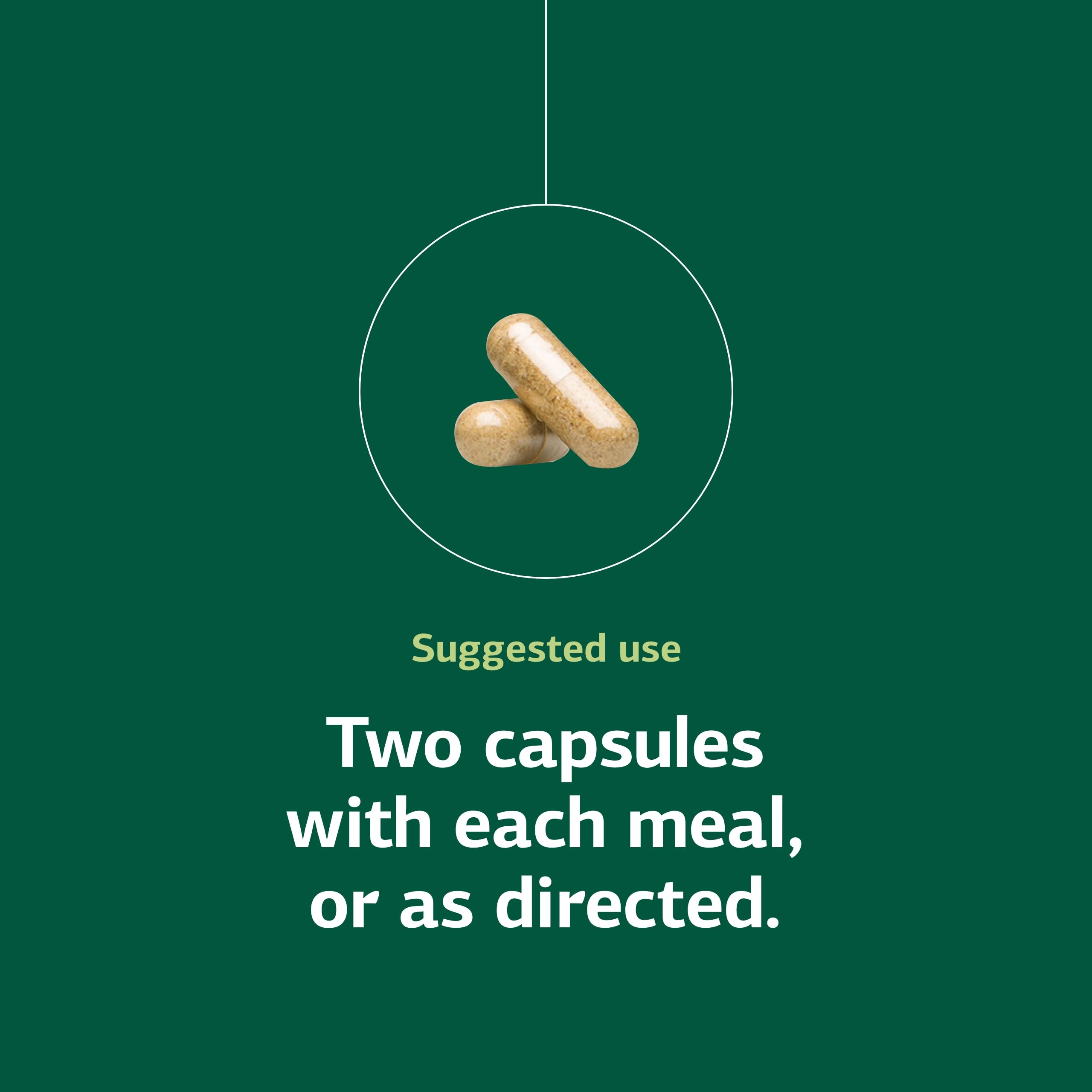 Standard Process Senaplex antioxidant illustration emphasizing vitamin A support.