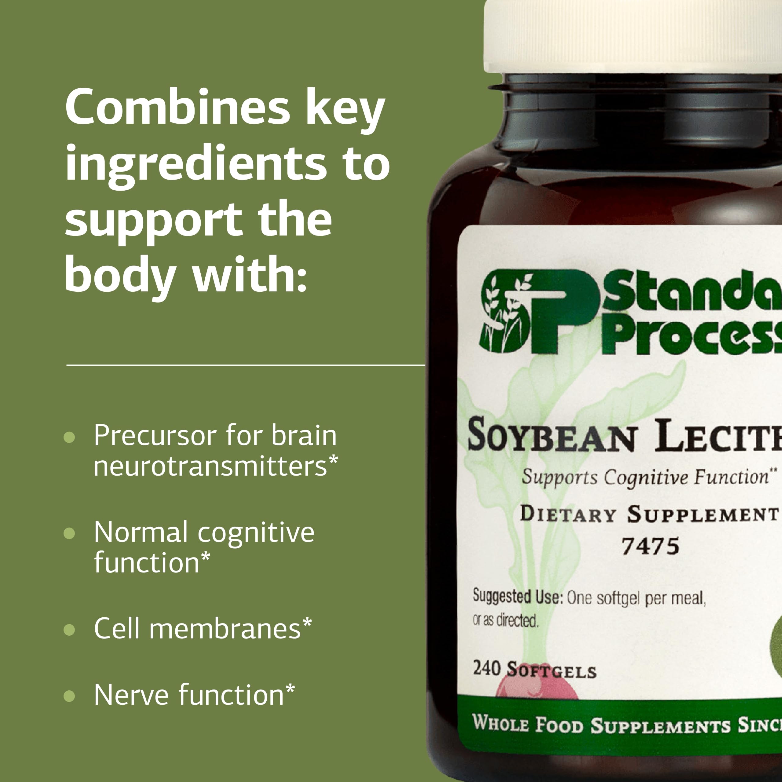 Standard Process Soybean Lecithin label displaying gluten-free, whole food-based formula