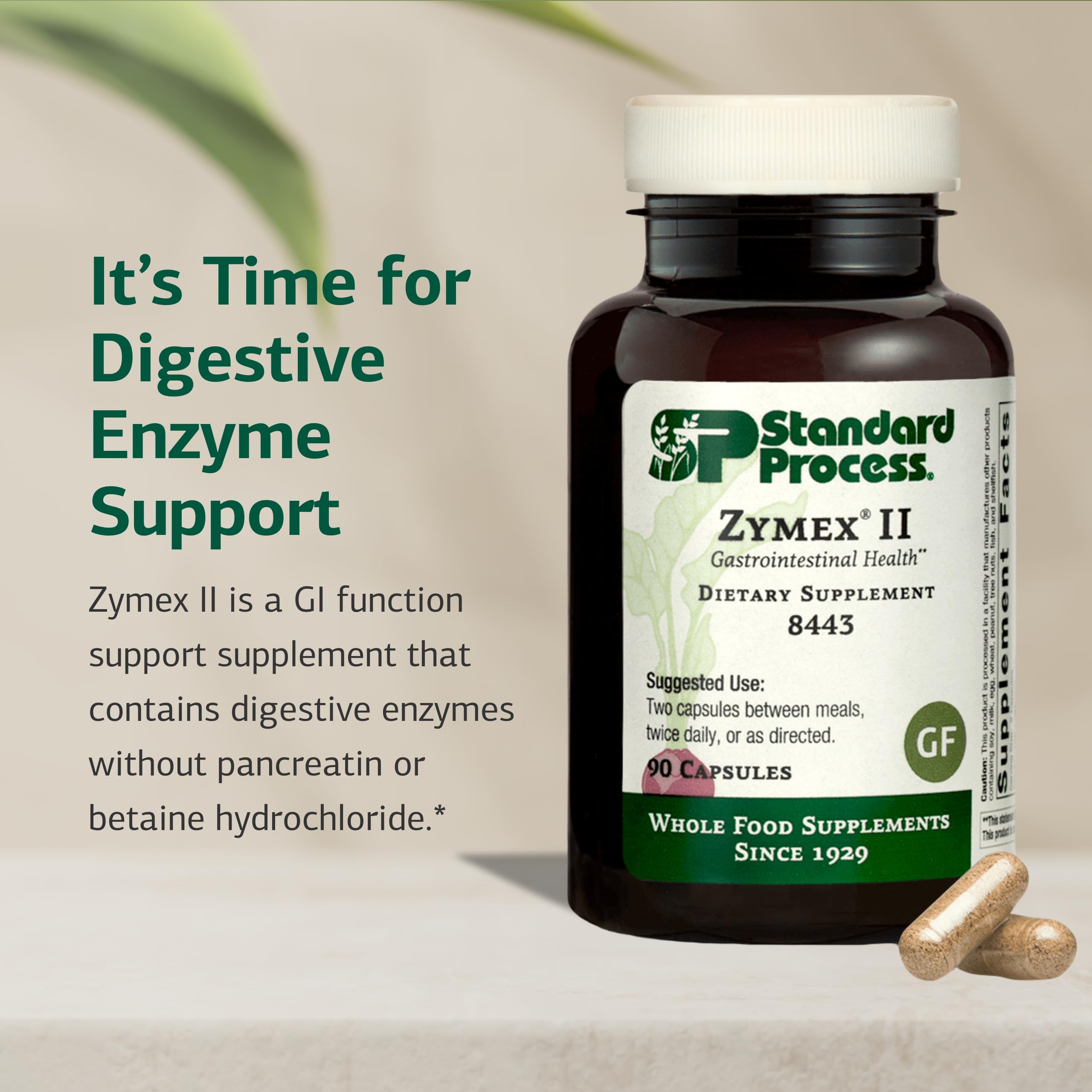 Standard Process Zymex II caplets close-up shows easy-to-swallow capsules
