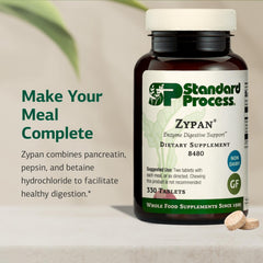 Standard Process Inc. Zypan tablets close-up show pancreatin and pepsin aiding macronutrient breakdown.
