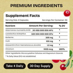 Stanis Labs Akkermansia enteric-coated capsule illustrating stomach protection.