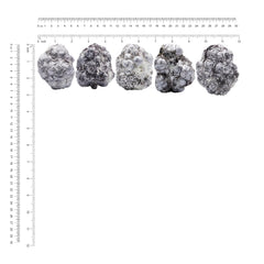 Starborn Coconut Lepidolite's natural variation offers a unique collector piece.