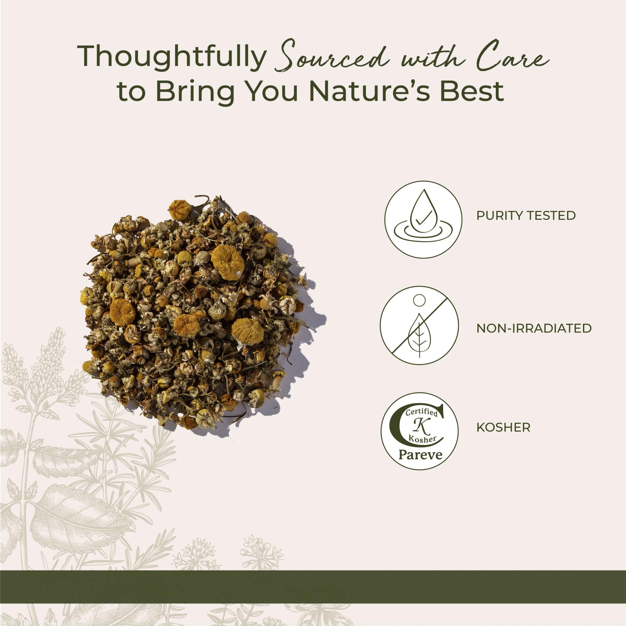 Cup of chamomile tea brewed from Starwest Botanicals flowers.