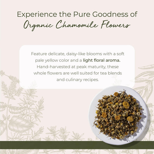 Loose chamomile leaves infuse into tea with a gentle apple-like aroma.