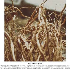 Starwest Botanicals Kava root in a resealable bag preserves freshness and quality.