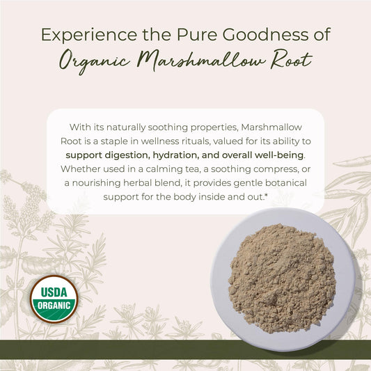 Starwest Botanicals marshmallow root powder measuring scoop for precise dosing.