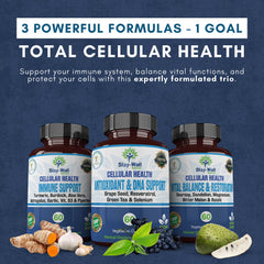 Stay-Well Naturals Immune Support ingredients with turmeric and black seed oil for daily resilience.