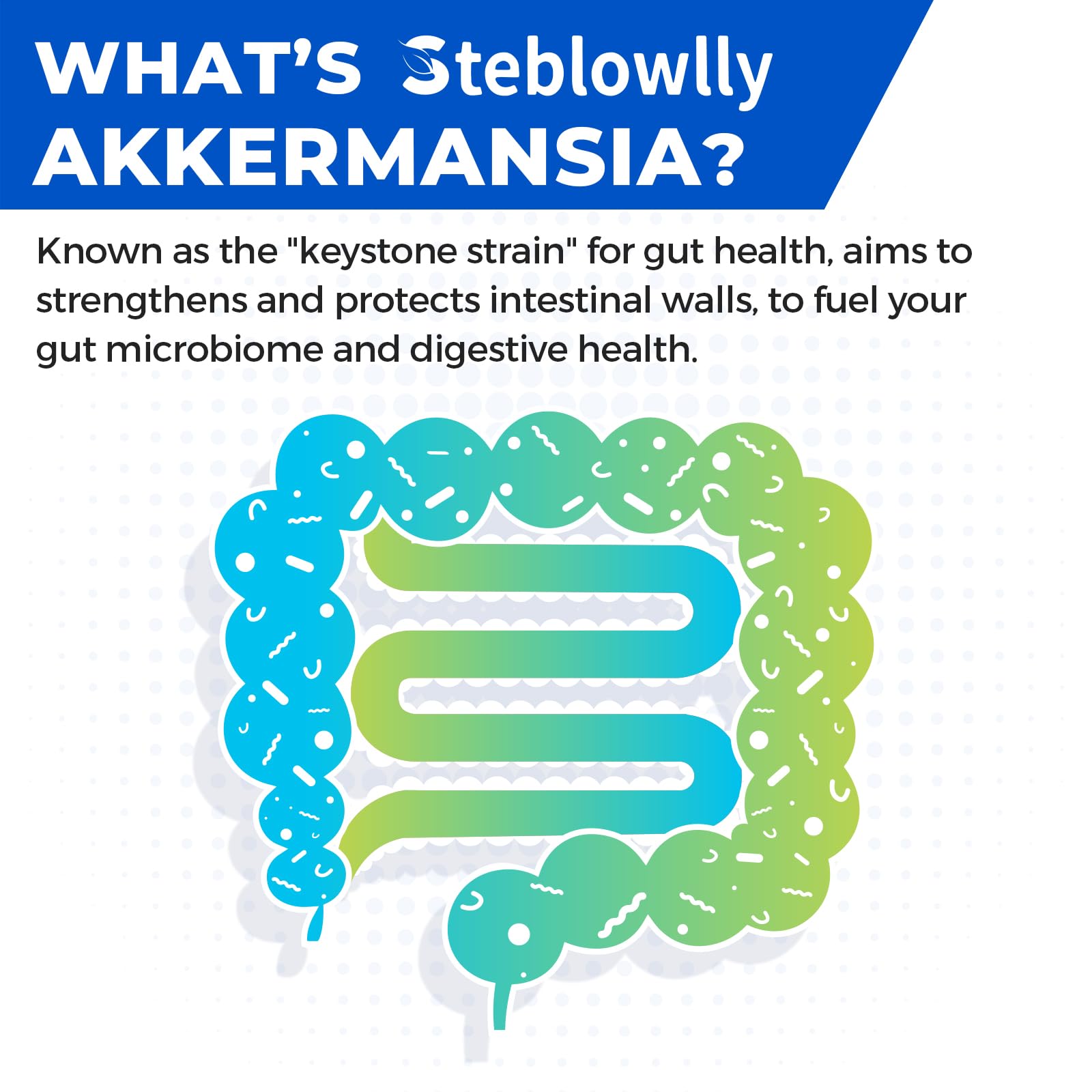 Steblowlly shelf-stable probiotic bottle without refrigeration emphasized.