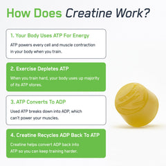 30-serving label on SteelFit Gummies packaging signals long-term fueling.