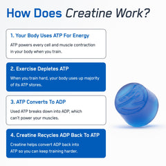 SteelFit Creapure Gummies before-workout shot indicates fast, tasty fueling.