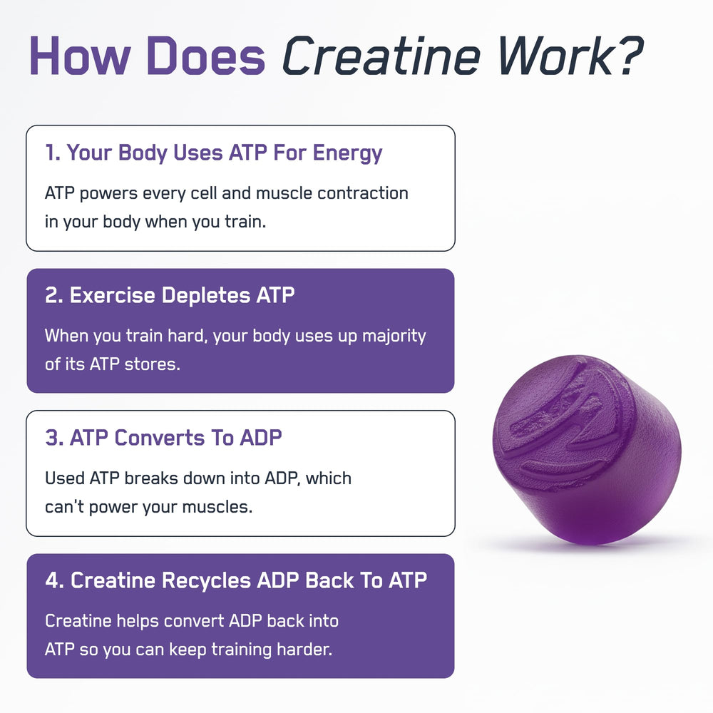 SteelFit Creapure Gummies ingredients list shows clean creatine formula.