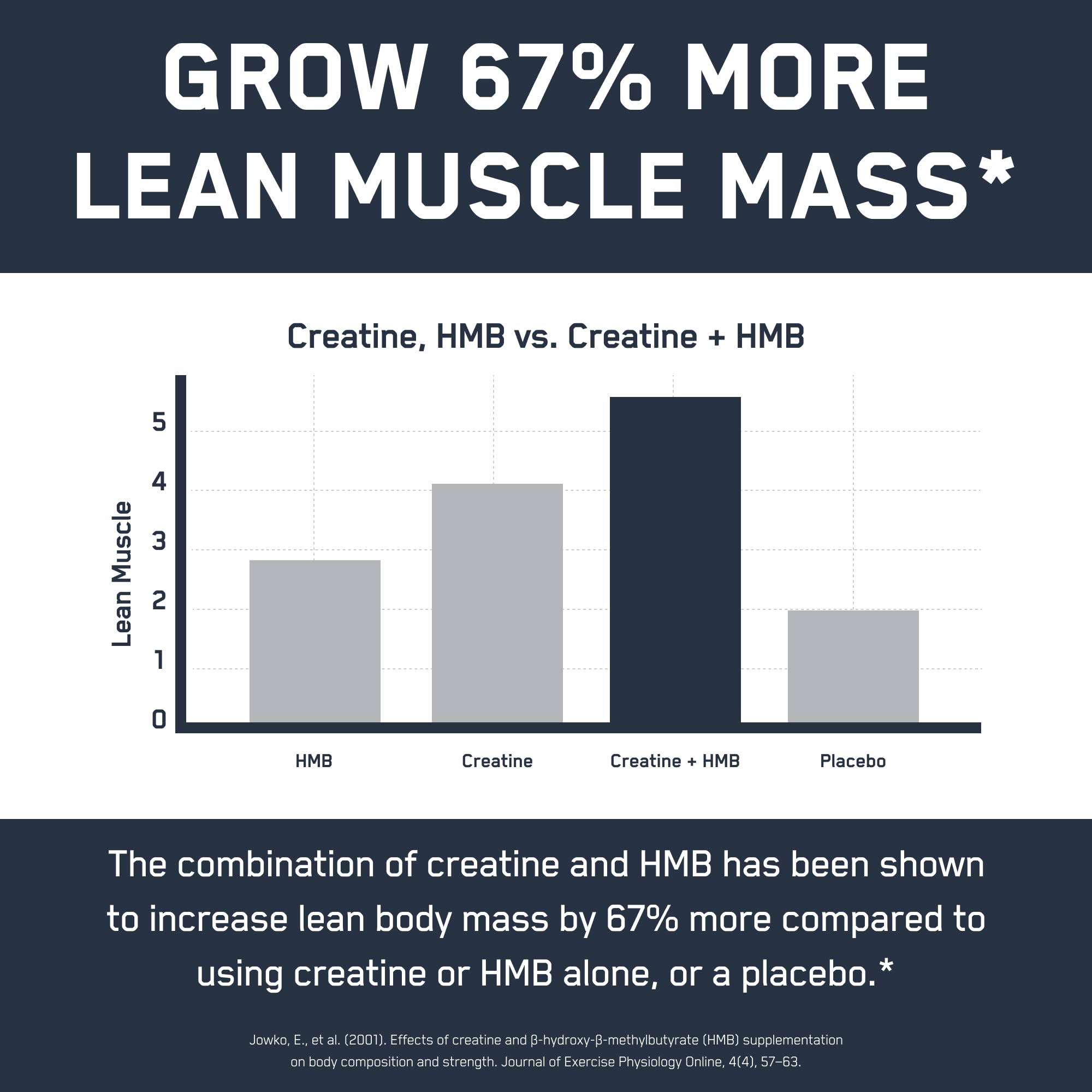 SteelFit Creatine HMB powder Germany-quality badge signals strict production.