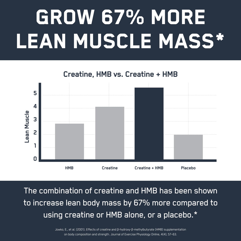 SteelFit Creatine HMB powder Germany-quality badge signals strict production.