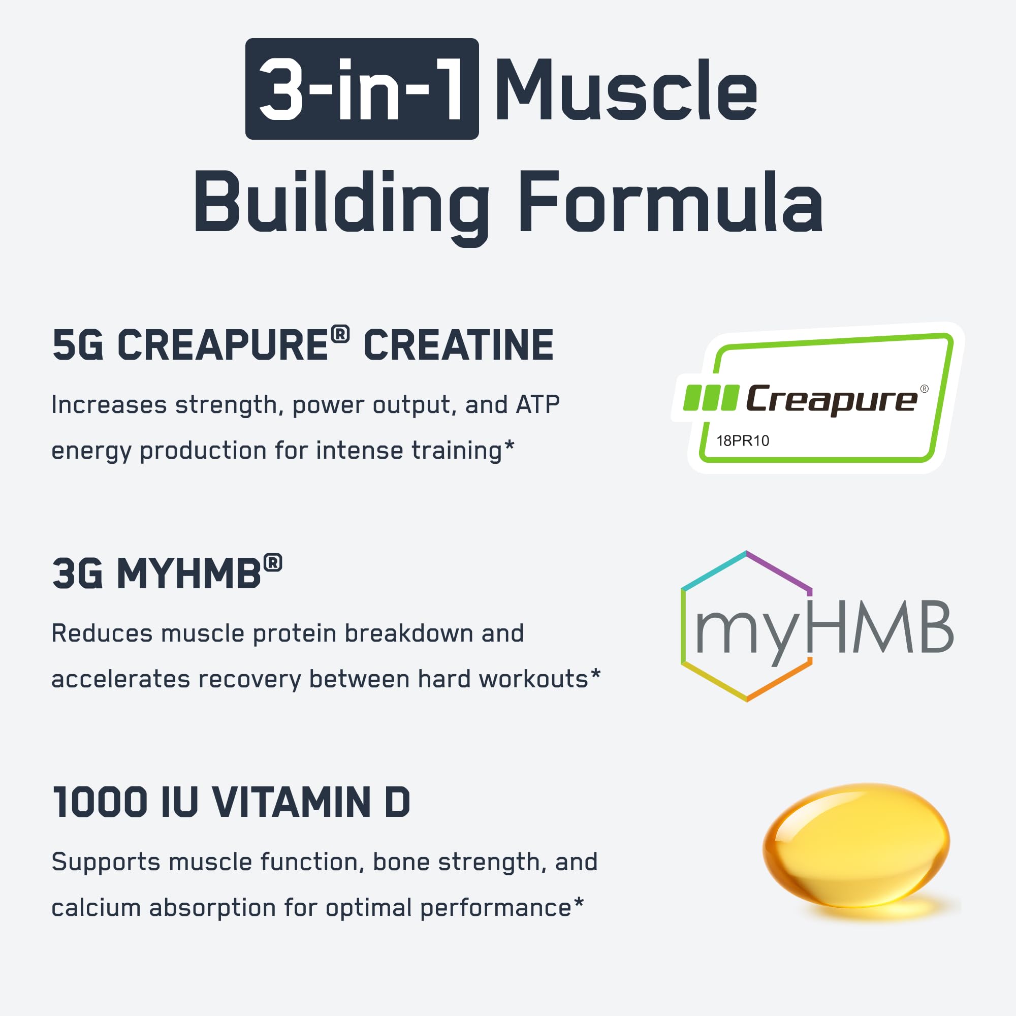 SteelFit Creatine HMB powder mix illustrates blending with drinks for energy.