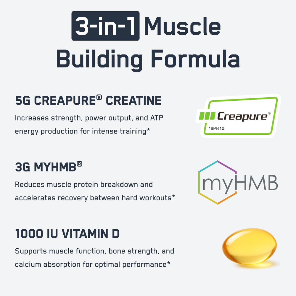 SteelFit Creatine HMB powder mix illustrates blending with drinks for energy.