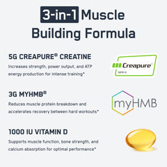 SteelFit Creatine HMB powder mix illustrates blending with drinks for energy.