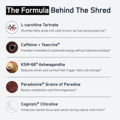 Shredded Steel label and packaging emphasizing transparent ingredients.
