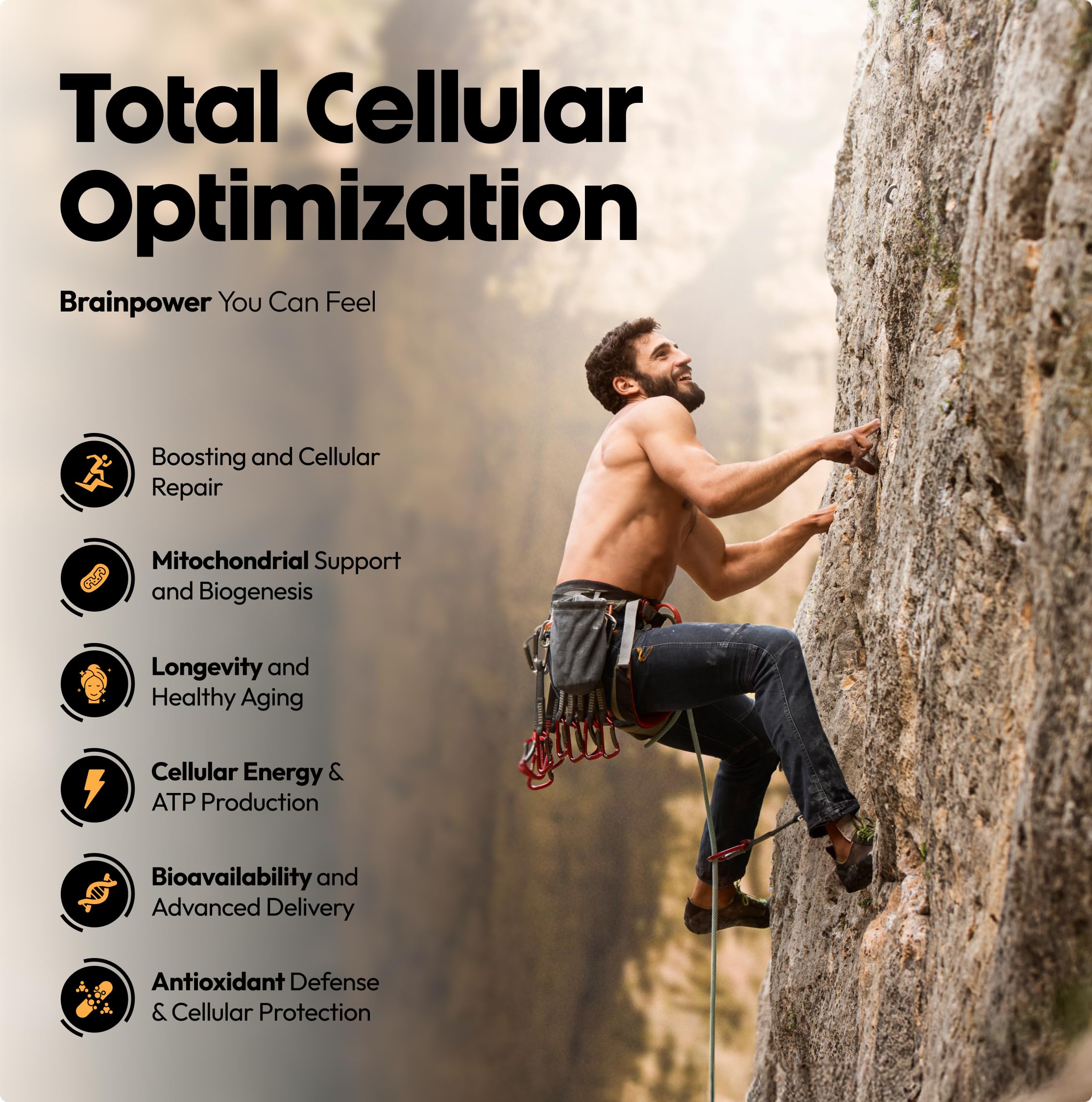 Stellar Health Clinical Mitochondrial Complex capsules on surface – convenient daily dose.
