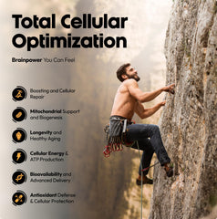 Stellar Health Clinical Mitochondrial Complex capsules on surface – convenient daily dose.