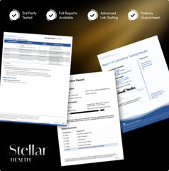 Stellar Health Clinical Mitochondrial Complex ingredients closeup – shows shilajit and CoQ10.