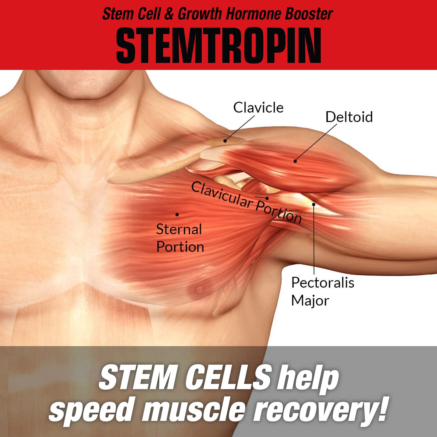 MuscleMeds STEMTROPIN during pre-workout prep highlighting potential performance and recovery benefits