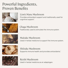 Stonehenge Health Dynamic Mushrooms label close-up emphasizes 100% fruiting bodies and non-GMO formulation