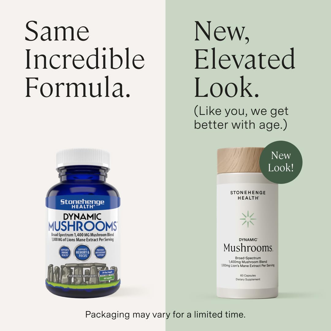 Stonehenge Health Dynamic Mushrooms Chaga image conveys antioxidant properties and steady energy