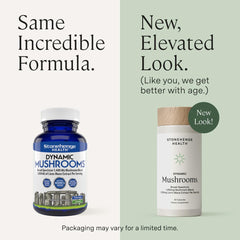 Stonehenge Health Dynamic Mushrooms Chaga image conveys antioxidant properties and steady energy