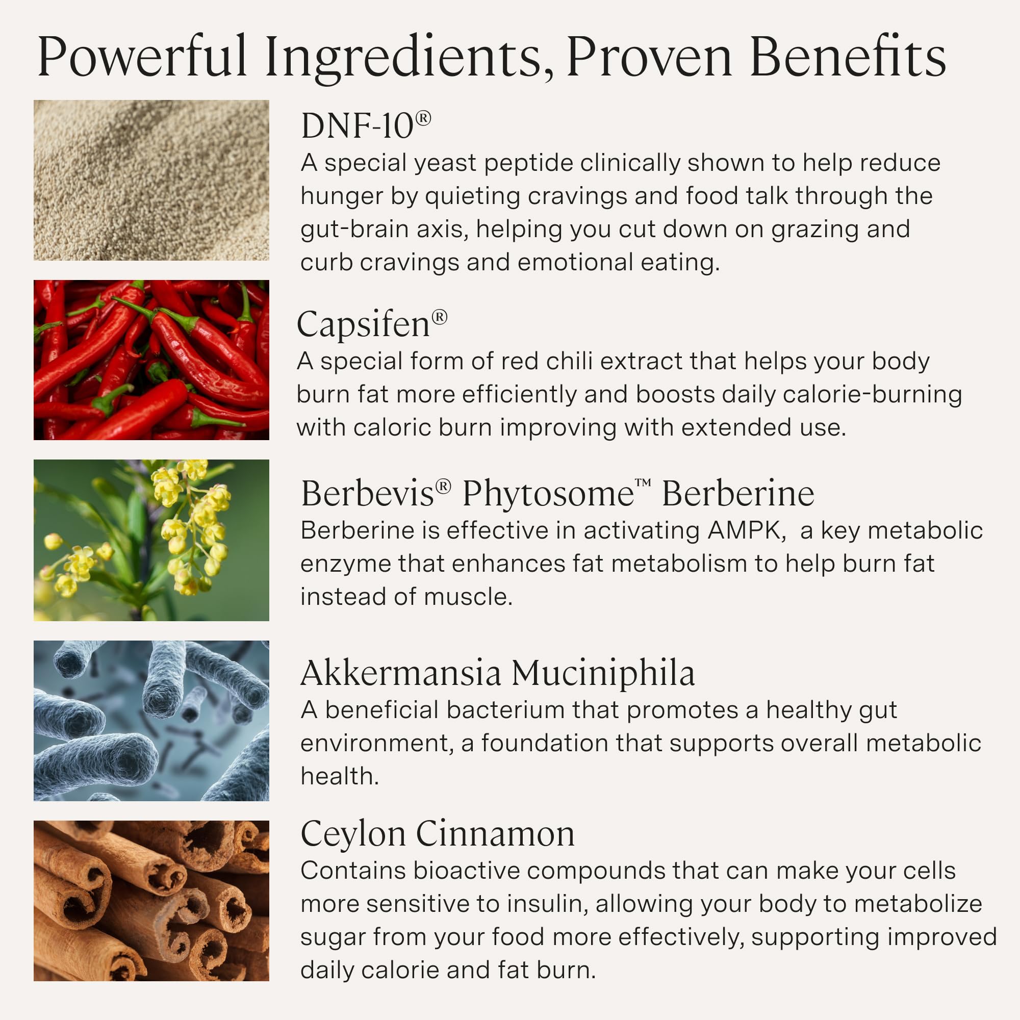 Stonehenge Health Dynamic GLP-1 ingredients close-up showing natural blends