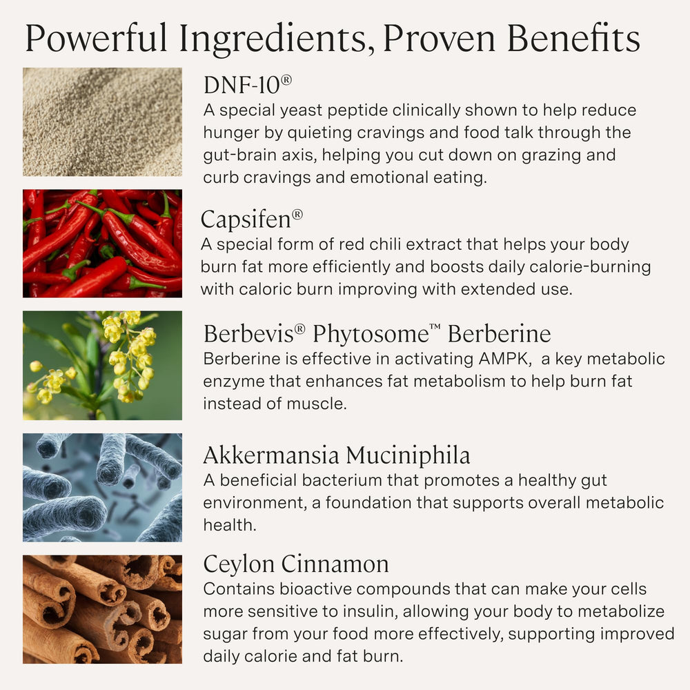 Stonehenge Health Dynamic GLP-1 ingredients close-up showing natural blends