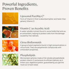 Stonehenge Health Dynamic Liposomal Vitamin C capsules in vegetarian form for daily use