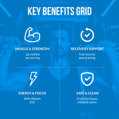 StonePack Creatine Gummies ingredients and dose information on label