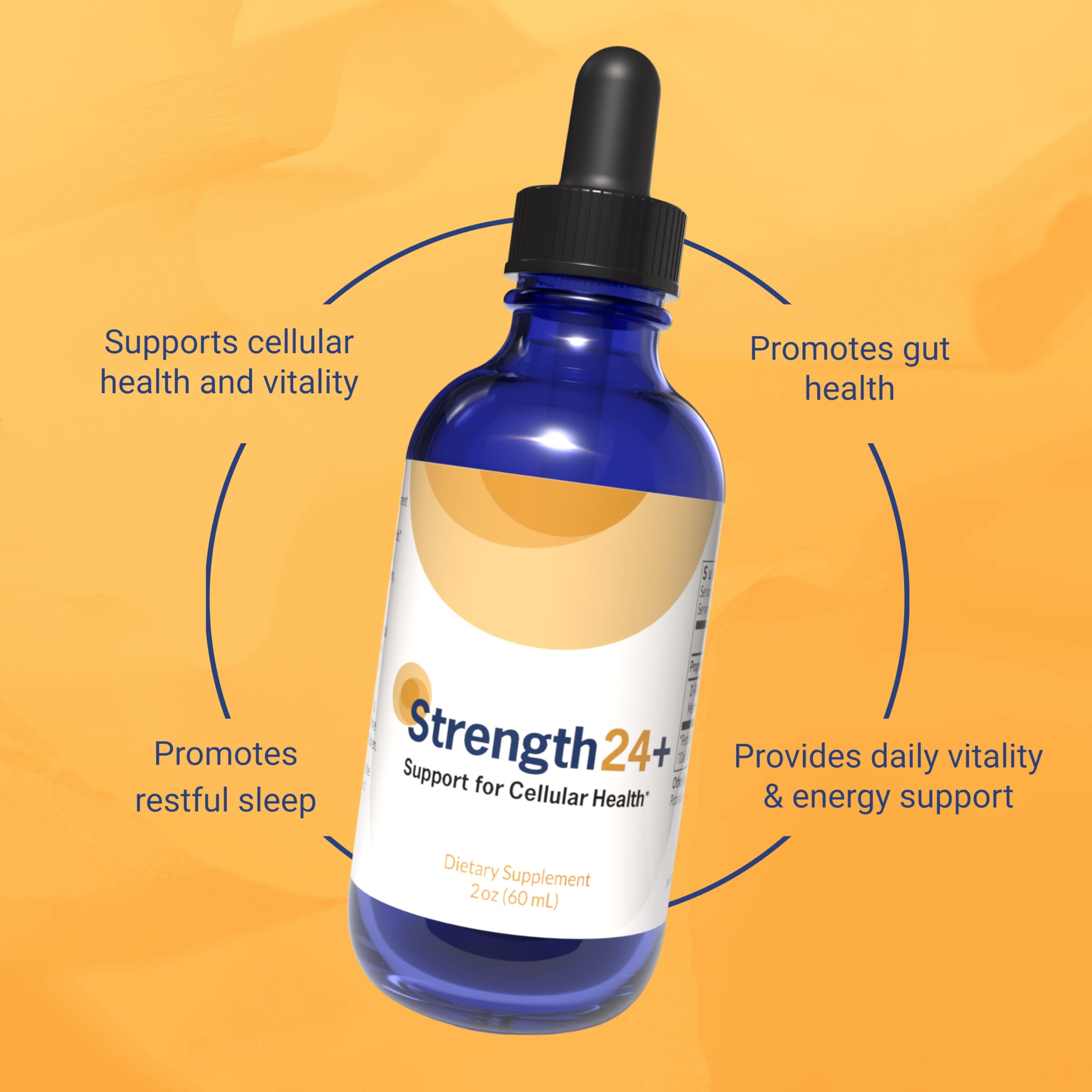 Strength24 Amino acids graphic hints at muscle recovery support.