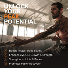 STRIVLABS Peak Potential in a gym setup for strength and recovery.
