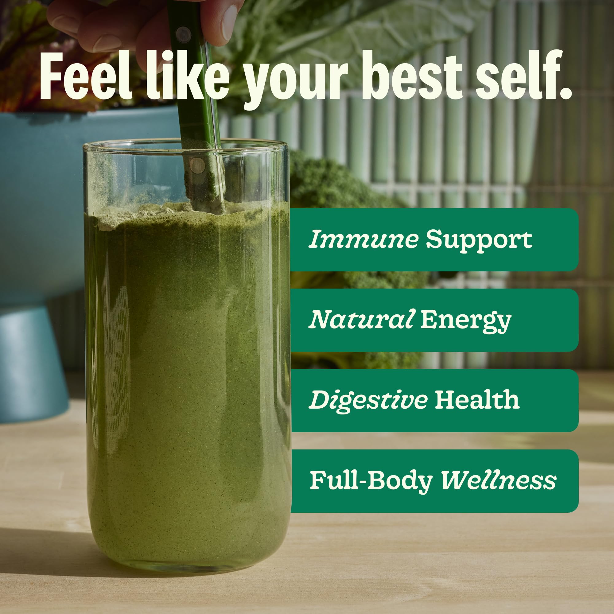 Suja Organic Greens Powder scoop measuring one serving for quick nutrient boost.