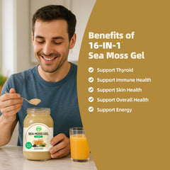 SumDIP Sea Moss Gel ingredients blend emphasizes a nutrient-dense, versatile vegan superfood.