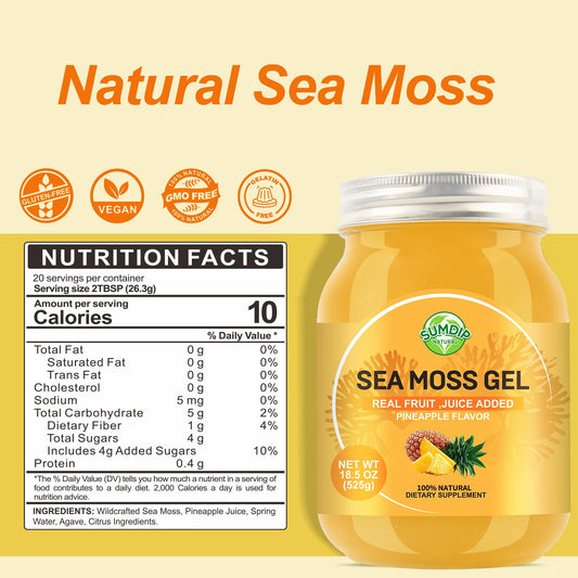 Close-up of SumDIP Sea Moss Gel texture for easy mixing into drinks.